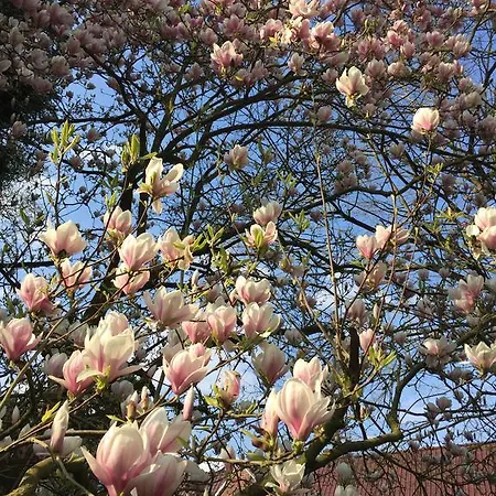 Le Domaine Des Loups Casa de hóspedes 3*