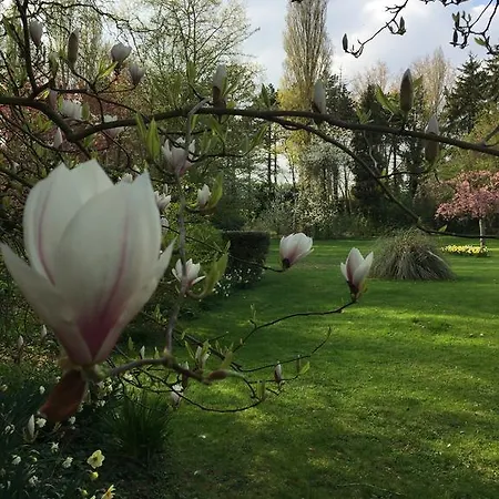 Le Domaine Des Loups